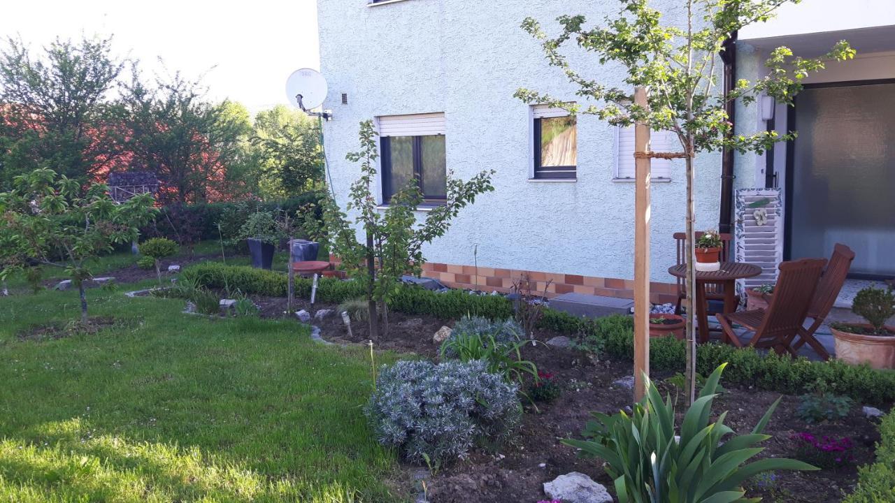 2 Zimmer Fewo Mit Aussenpool Und Sauna Sulzfeld am Main Exterior photo